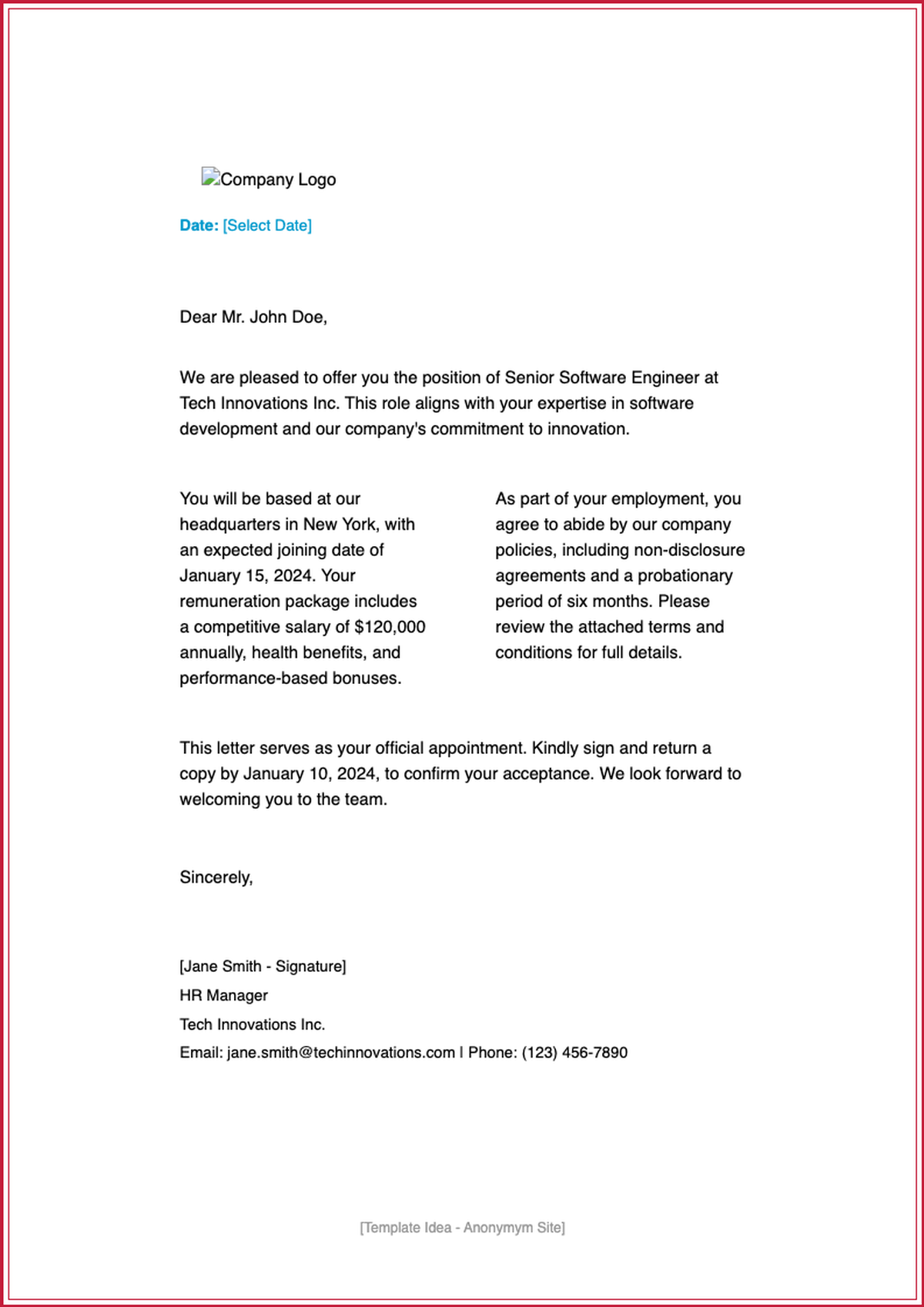 Professional job appointment letter template with placeholder instructions_variant_2
